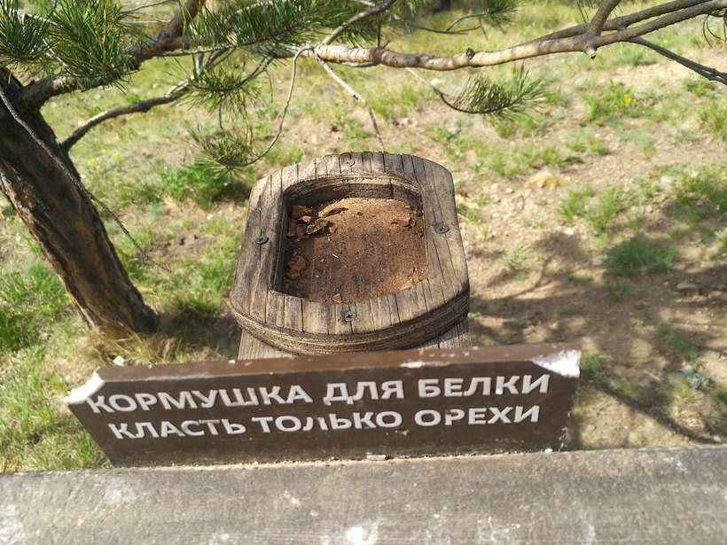 Блог - Дацан «Ринпоче Багша» теперь мое любимое место в Улан-Удэ Дацан «Ринпоче Багша» теперь мое любимое место в Улан-Удэ