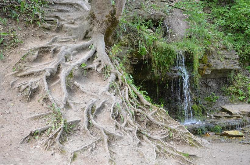 Ключи выглядят восхитительно!