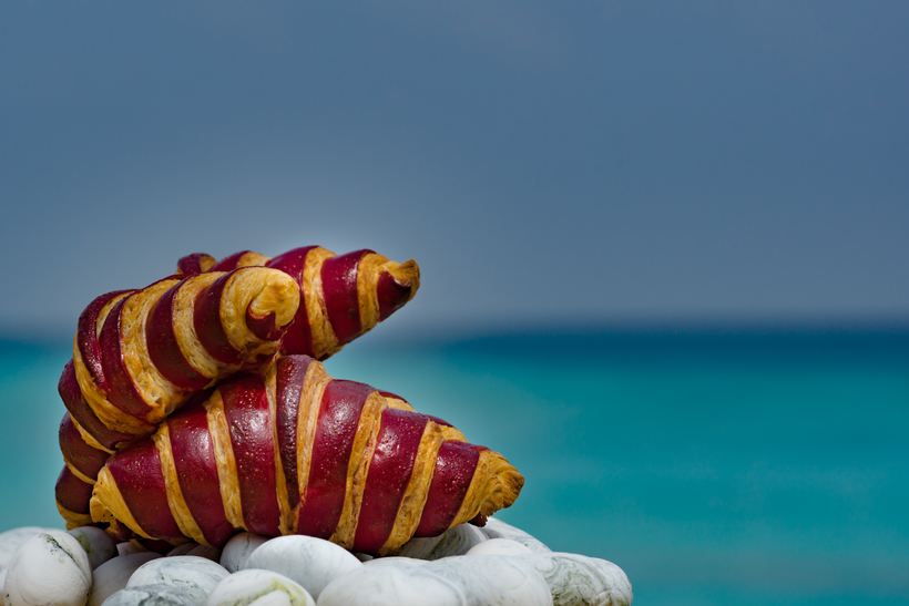 Блог - Сладкая жизнь в Kuramathi Maldives Сладкая жизнь в Kuramathi Maldives