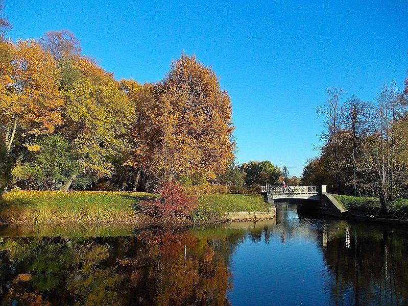 Пейзажи Елагина острова чудо как хороши!