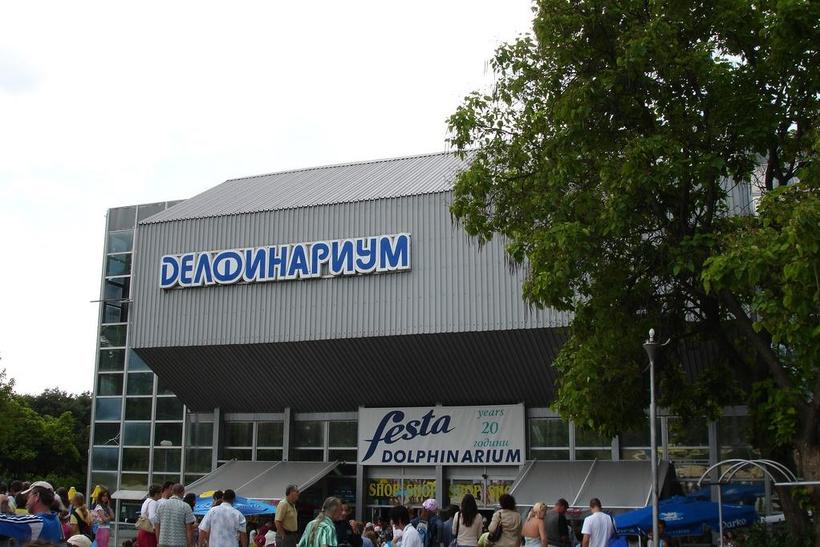 Здание дельфинариума имеет необычную форму