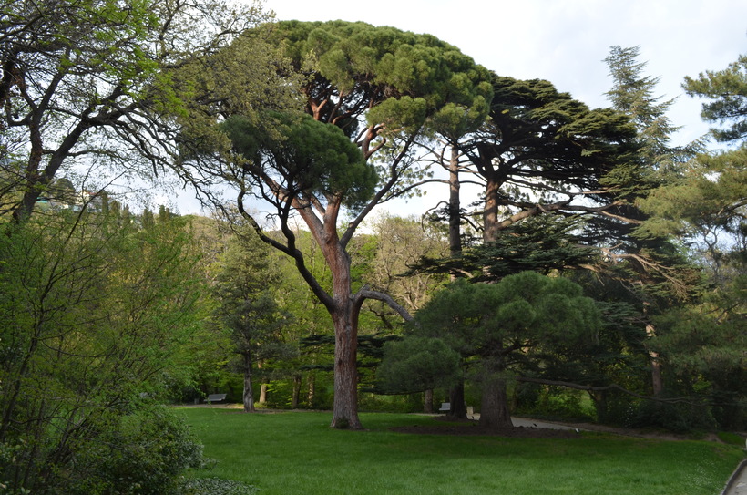 Пейзаж в Верхнем парке