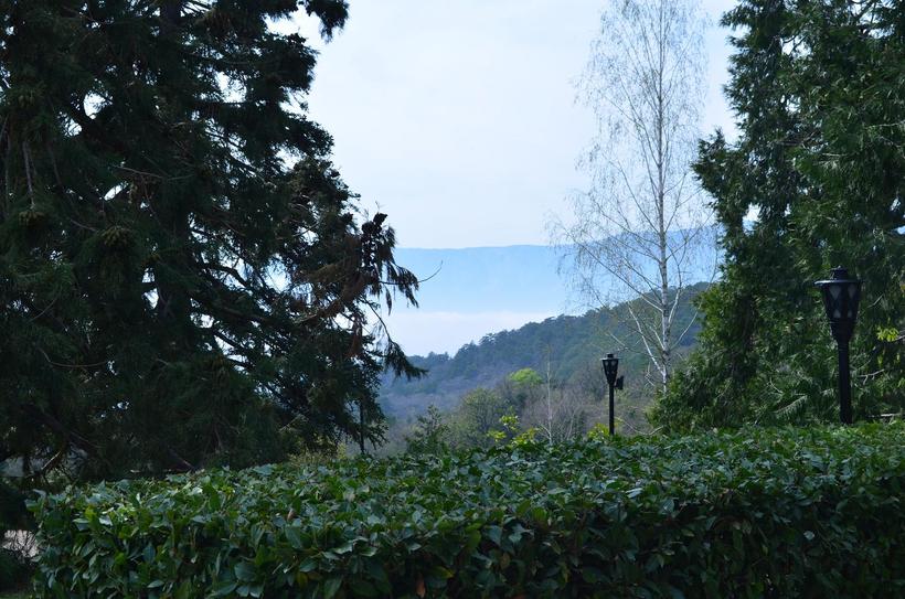 Из парка виден кусочек Чёрного моря