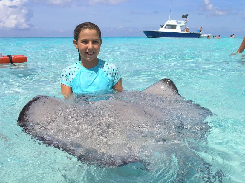 Обратная сторона экотуризма: скаты стали ручными, обленились и перестали охотиться