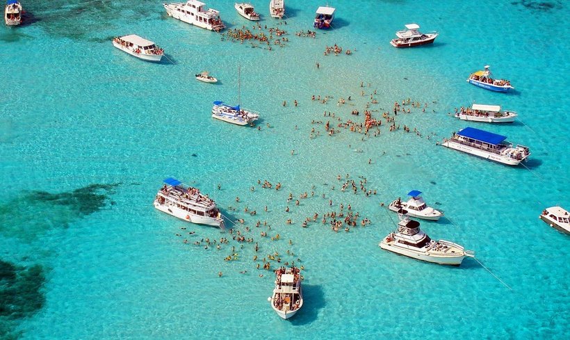 Обратная сторона экотуризма: скаты стали ручными, обленились и перестали охотиться