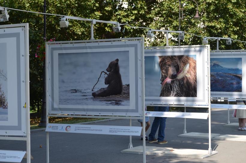 Выставка фотографий в парке