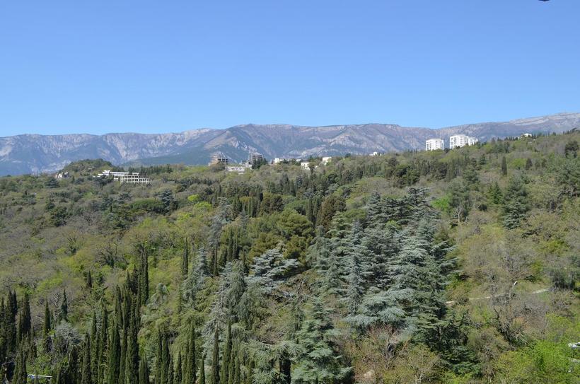 Панорама парка