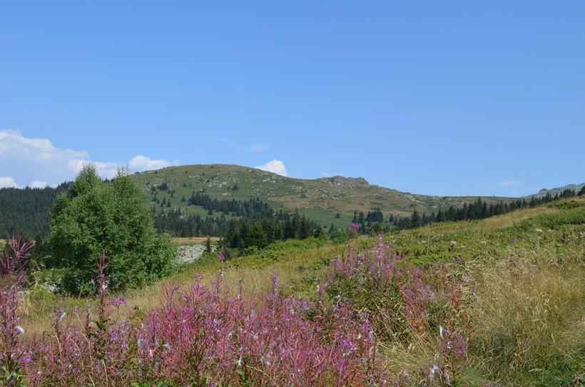 Пейзажи Витоши очаровательны