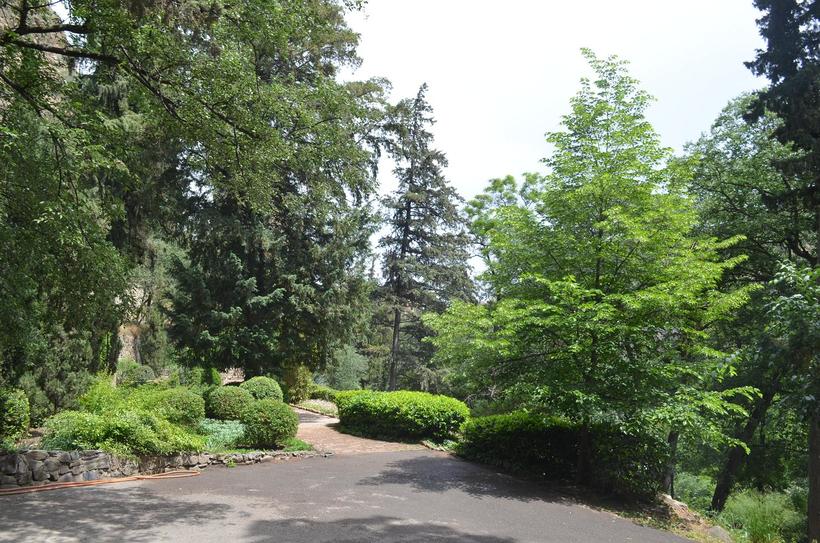 Экскурсия в Ботанический сад принесет немало приятных впечатлений