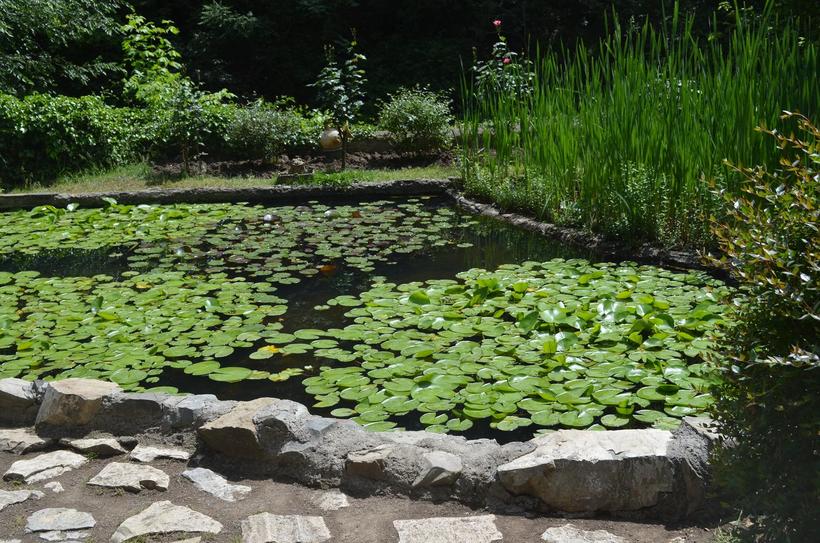 Тихий уголок природы