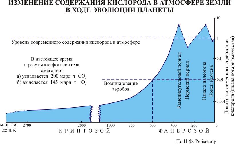 Блог - Гигантские стрекозы меганевры: почему они существовали в древности и вымерли Гигантские стрекозы меганевры: почему они существовали в древности и вымерли