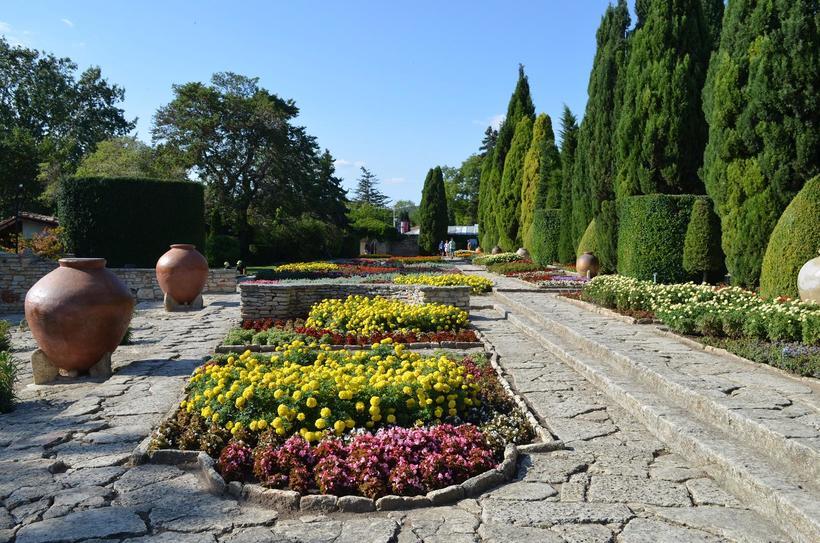 Летом ботанический сад великолепен