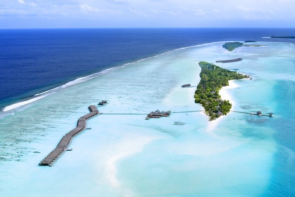 Блог - Подводный Фестиваль в Lux* South Ari Atoll Подводный Фестиваль в Lux* South Ari Atoll