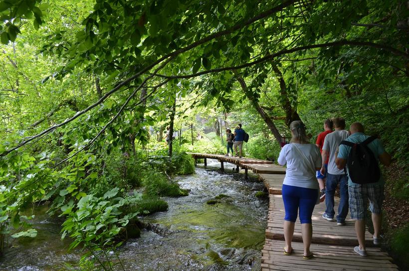 По всему парку проложены специальные деревянные дорожки