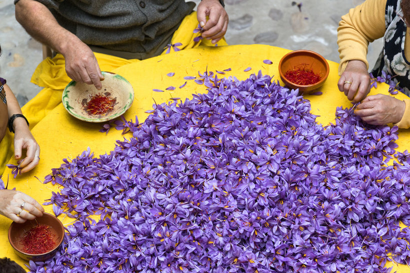 Сокровище Ирана: как производят шафран — самую дорогую пряность в мире