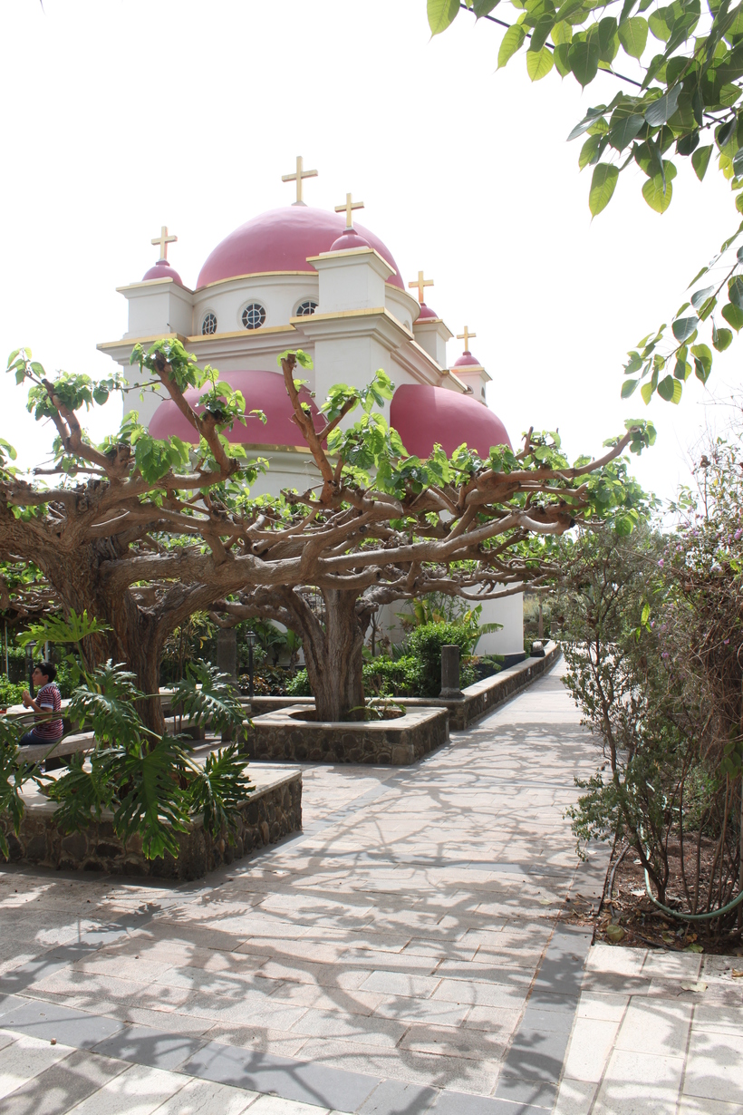 Собор Двенадцати Апостолов