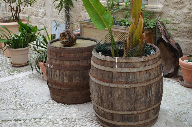 Милое местечко, каких в Дубровнике много