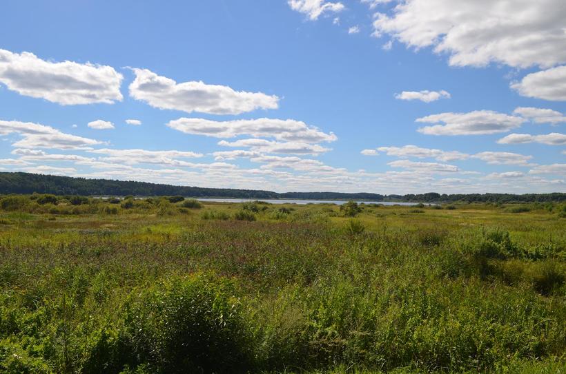 Родные нивы