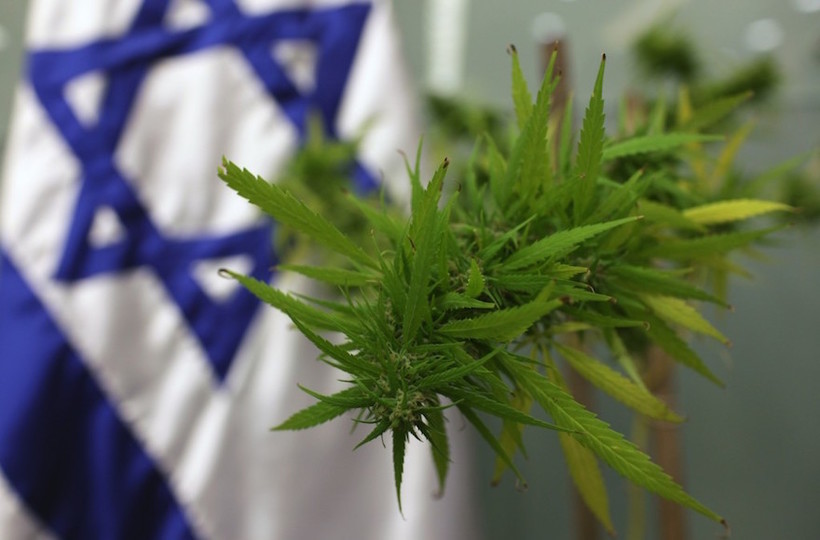 Купить в израиле марихуану что такое cbd в конопле