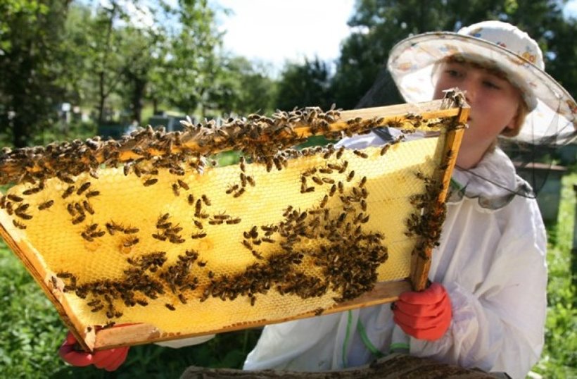 Блог - 10 самых необычных школьных предметов разных стран мира 10 самых необычных школьных предметов разных стран мира