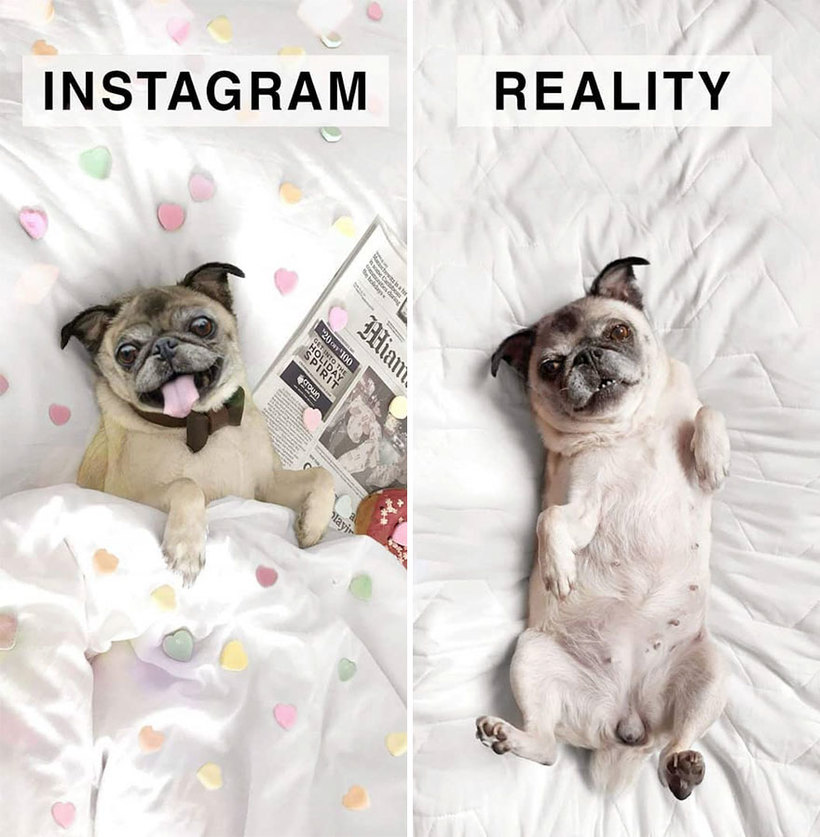 Блог - Instagram и реальность: немка шутит над идеальными фотографиями в соцсетях Instagram и реальность: немка шутит над идеальными фотографиями в соцсетях
