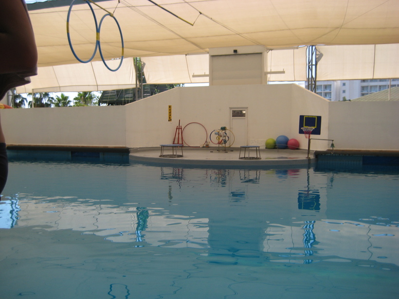 Дельфинарий