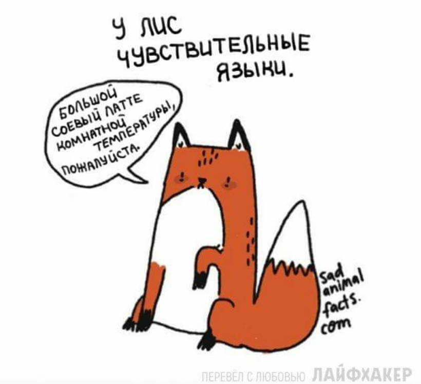 Блог - Грустные факты о животных от Брук Баркер, которые растрогают любого Грустные факты о животных от Брук Баркер, которые растрогают любого