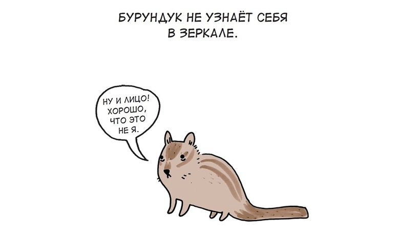 Блог - Грустные факты о животных от Брук Баркер, которые растрогают любого Грустные факты о животных от Брук Баркер, которые растрогают любого