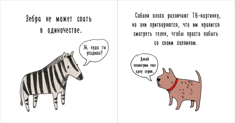 Блог - Грустные факты о животных от Брук Баркер, которые растрогают любого Грустные факты о животных от Брук Баркер, которые растрогают любого