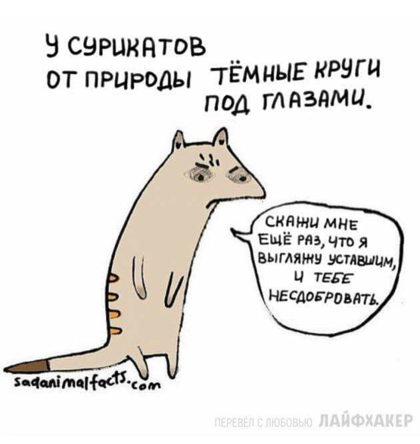 Блог - Грустные факты о животных от Брук Баркер, которые растрогают любого Грустные факты о животных от Брук Баркер, которые растрогают любого
