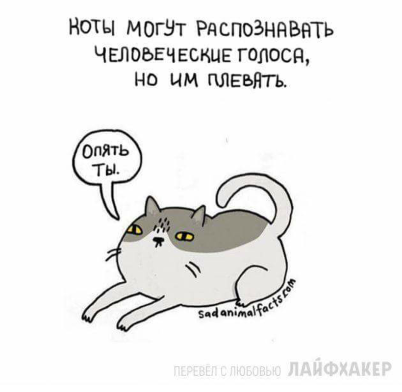 Блог - Грустные факты о животных от Брук Баркер, которые растрогают любого Грустные факты о животных от Брук Баркер, которые растрогают любого