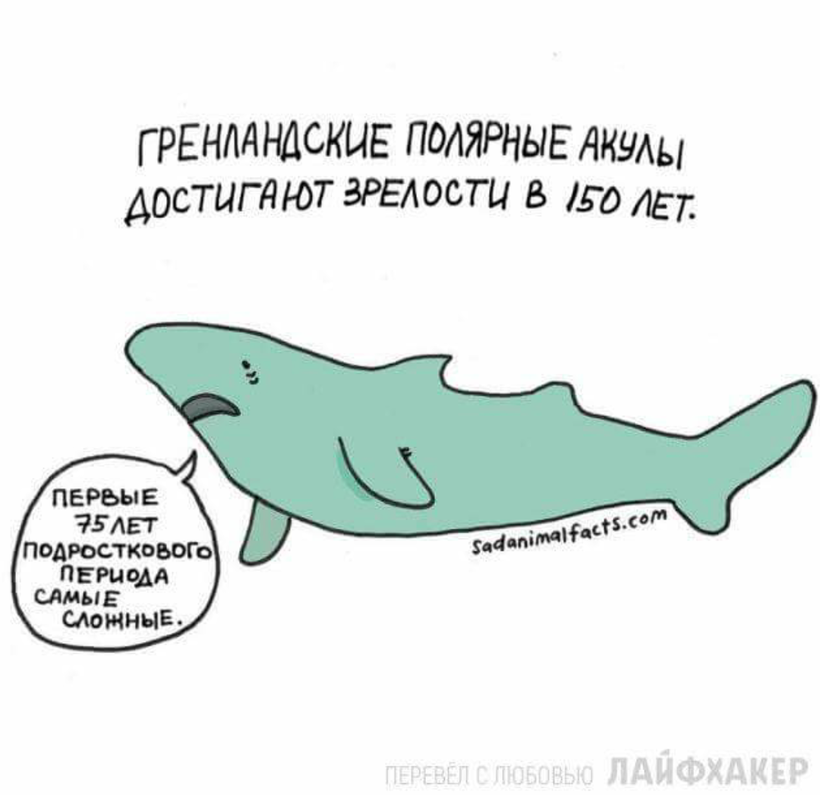 Блог - Грустные факты о животных от Брук Баркер, которые растрогают любого Грустные факты о животных от Брук Баркер, которые растрогают любого