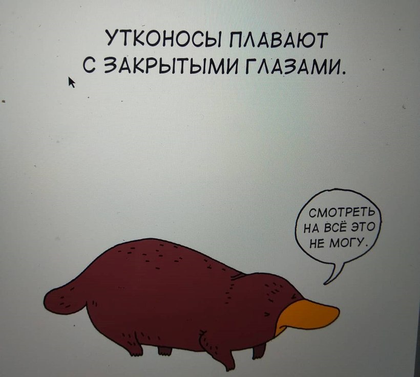 Блог - Грустные факты о животных от Брук Баркер, которые растрогают любого Грустные факты о животных от Брук Баркер, которые растрогают любого