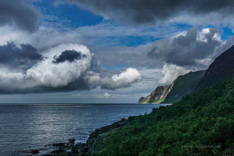 Невероятная Норвегия: Чудо-юдо Рыба-кит