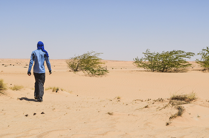 14 бесценных советов о том, как вести себя в экстремальных ситуациях, чтобы выжить 
