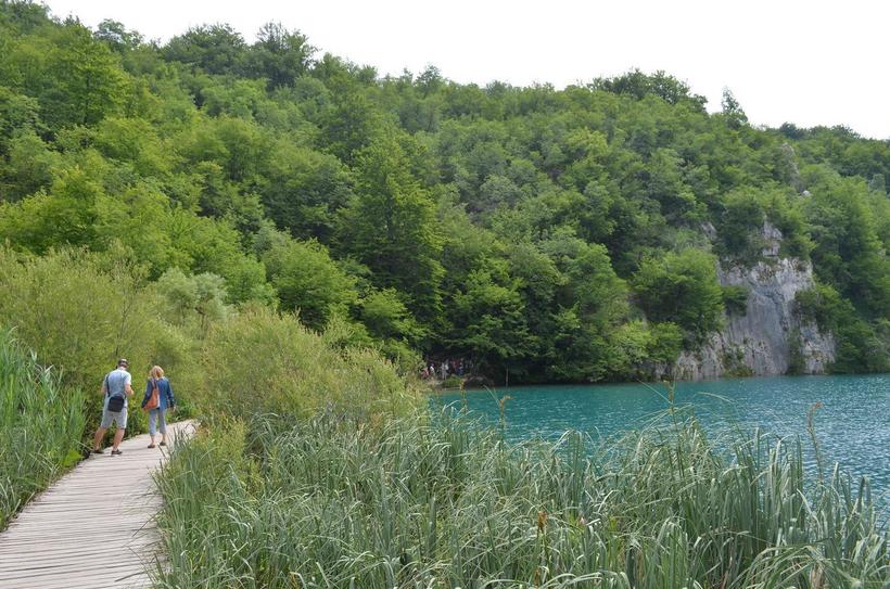Проходить через некоторые места заповедника можно только по деревянным тропам