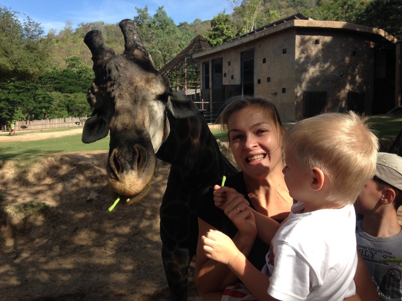 Таиланд, в зоопарке Кхао Кхео