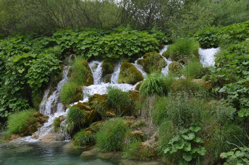 Одно из лучших мест Плитвицких озер