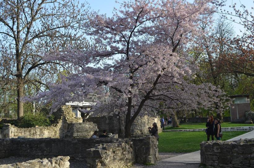 Монастырские руины выглядят живописно