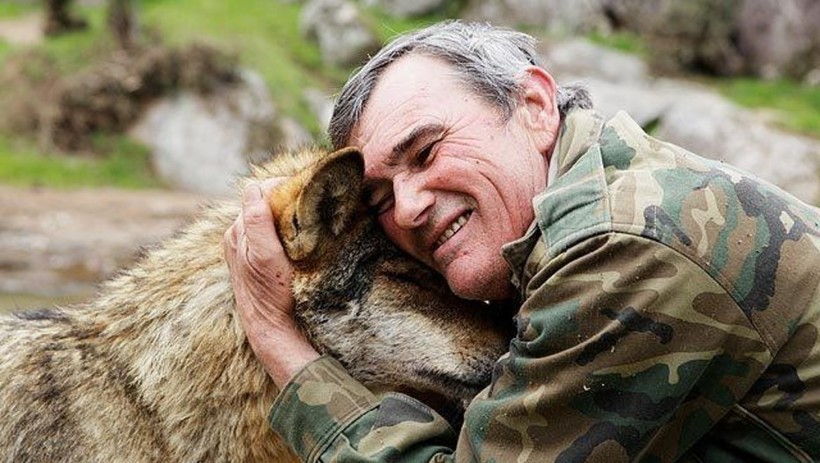 Блог - Есть ли жизнь у Маугли: испанец провел 12 лет с волками и вернулся в мир людей Есть ли жизнь у Маугли: испанец провел 12 лет с волками и вернулся в мир людей
