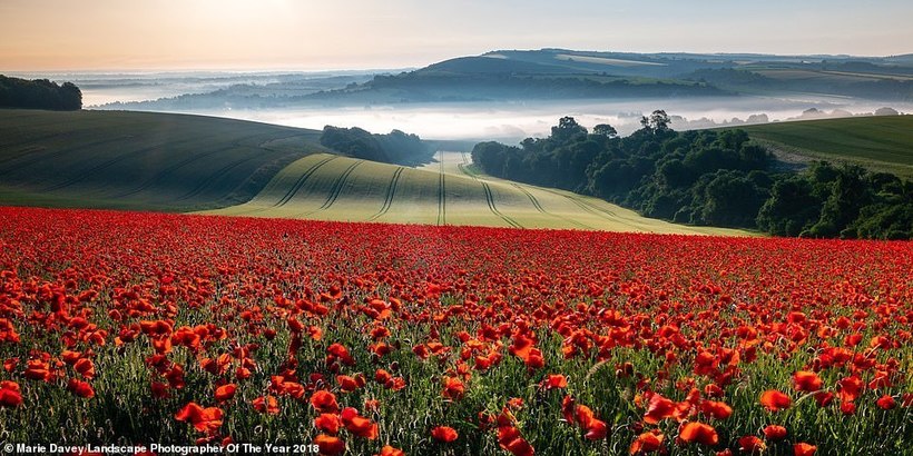 Лучшие пейзажные фотографии Великобритании 2018 года