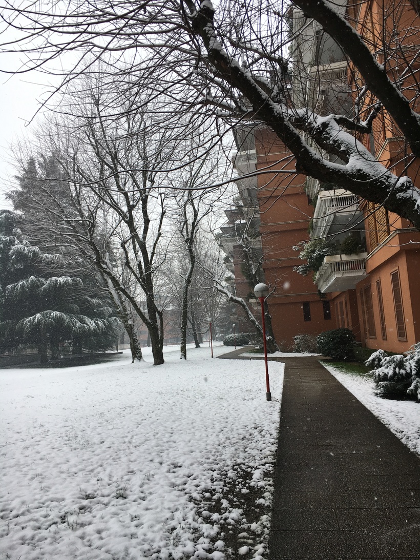 Район Сеграте, март 2018 год