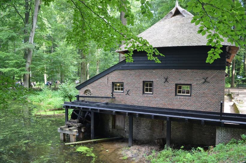 Одно из зданий в парке