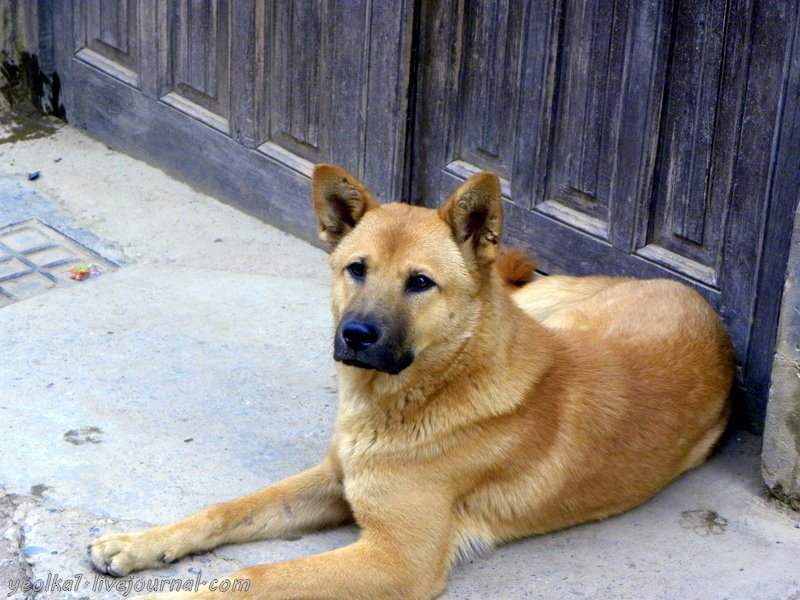 Перу: Леймебамба и дорога в Кахамарку