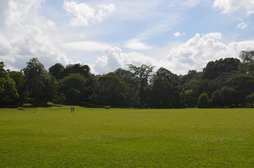 В Ботаническом саду нет лучше места для пикника!