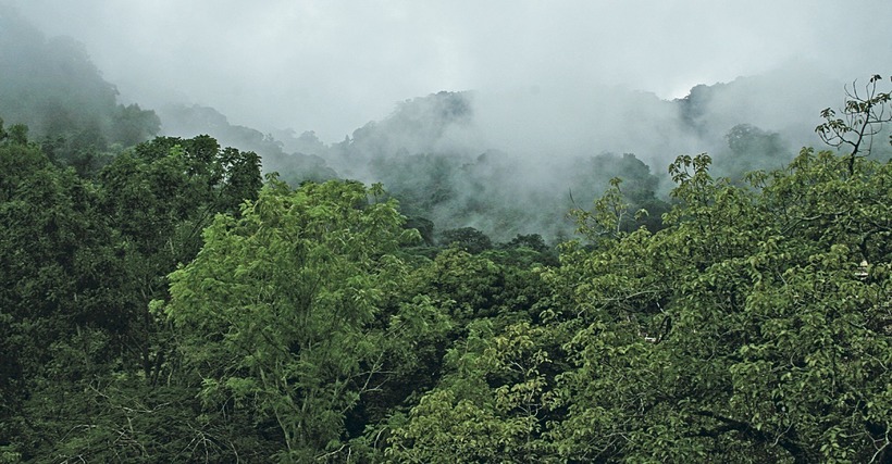 мексика природа юкатан. текоанапа мексика. джунгли мексики. полуостров юкатан мексика. мексика лакандонские джунгли.