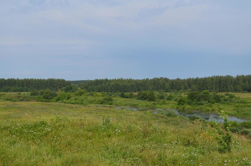 Поле, русское поле