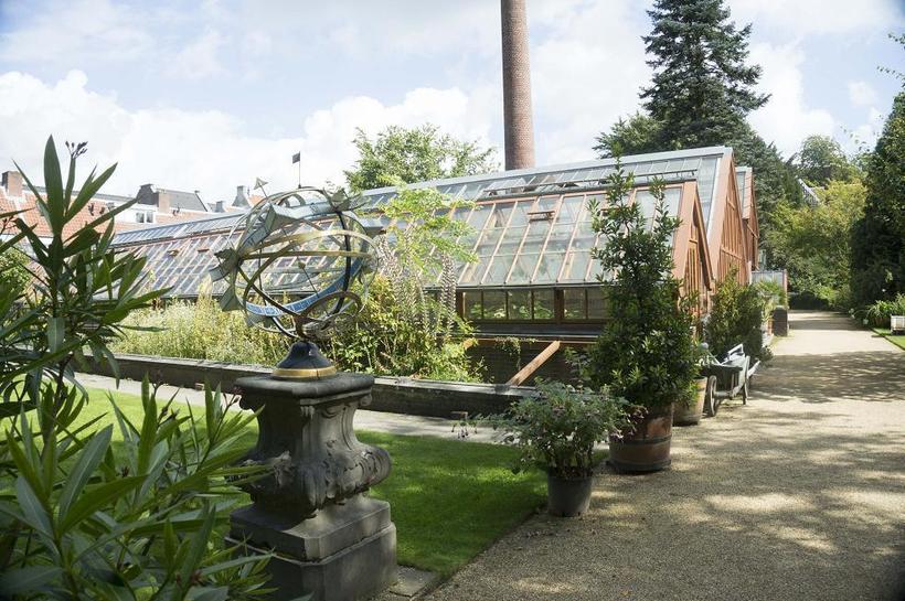 Оранжереи в старой части Ботанического сада