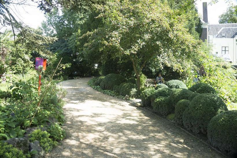 Отдых в Ботаническом саду освежает и вдохновляет