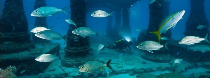 Как выглядит первое в мире подводное кладбище